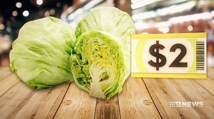 心痛！澳华人最爱的这些蔬菜全都疯狂涨价，买一次菜，哭一次…（组图） - 10