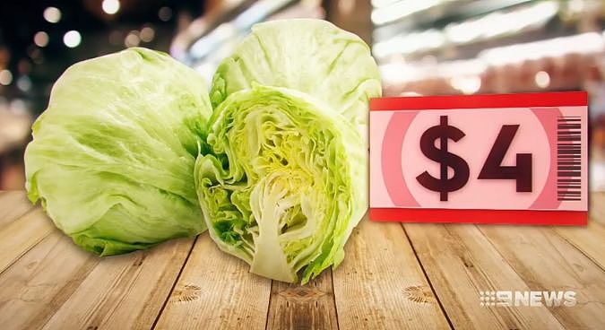 心痛！澳华人最爱的这些蔬菜全都疯狂涨价，买一次菜，哭一次…（组图） - 11