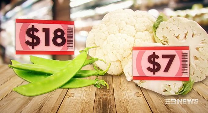 心痛！澳华人最爱的这些蔬菜全都疯狂涨价，买一次菜，哭一次…（组图） - 15