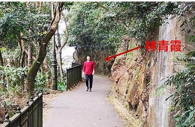 63岁林青霞从女神变大妈肥，网友偶遇她在山上遛弯！！