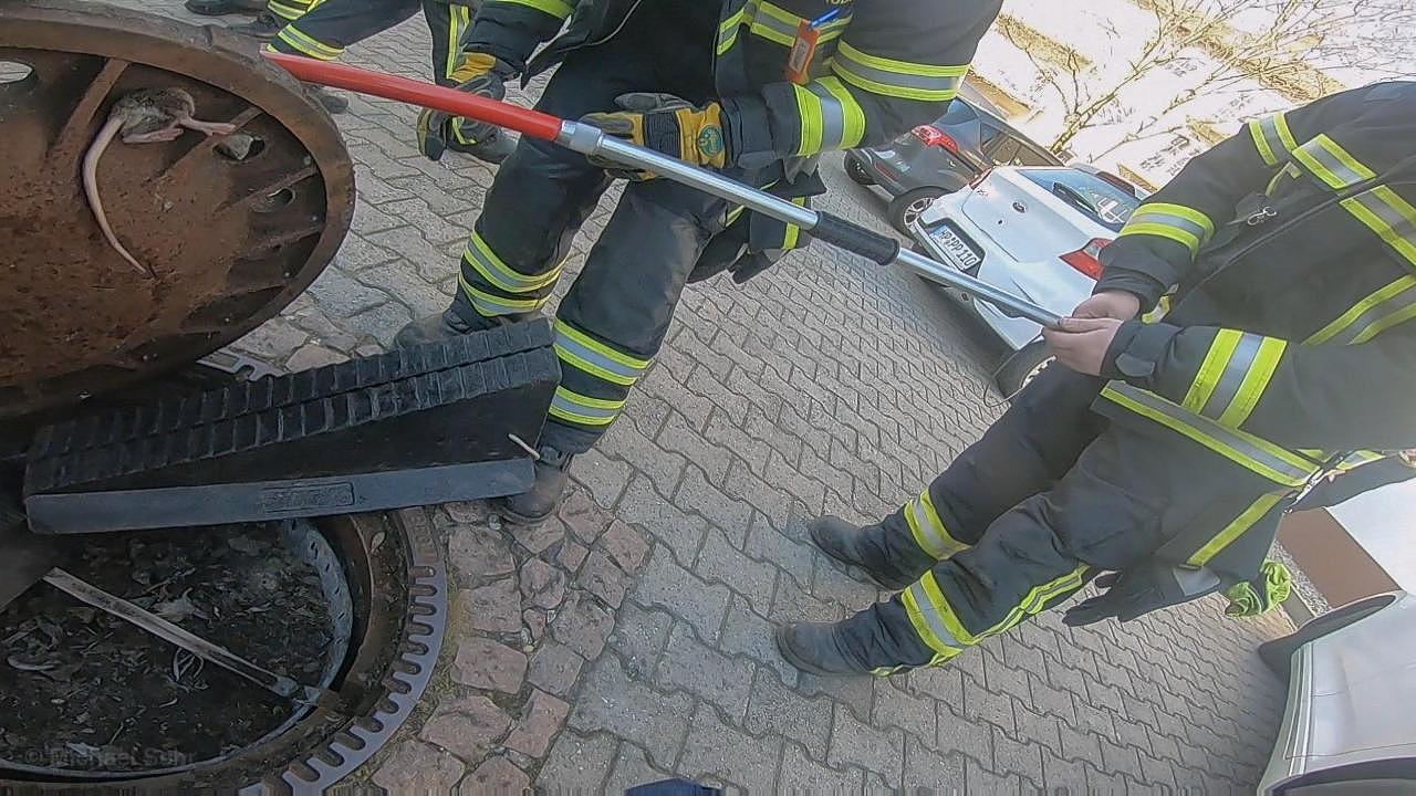 德国消防队“壮观”大救援！救的是一只肥老鼠……（组图） - 3