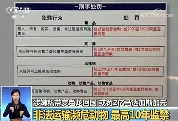 带娃出国游，华人妈妈机场被捕！判10年罚40万，“快救我妈妈“（组图） - 4