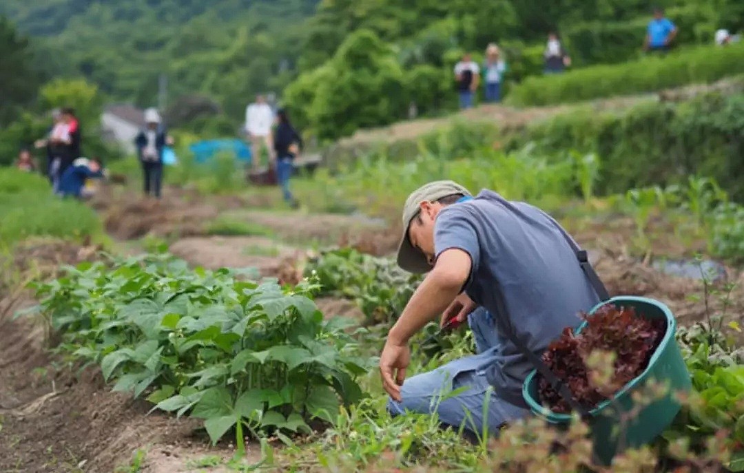 看完这个40岁女人的朋友圈，我酸酸酸了...（组图） - 17