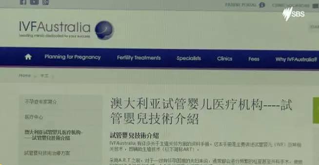澳洲精子库告急！大批中国女性赴澳取精生子！组织呼吁健康男性“捐献”，冲鸭 - 10