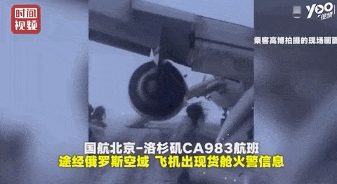 飞机随时爆炸！惊魂时刻，中国乘客却疯了般拿行李，录视频！空姐一句怒吼，机长冒着生命危险巡视... - 14