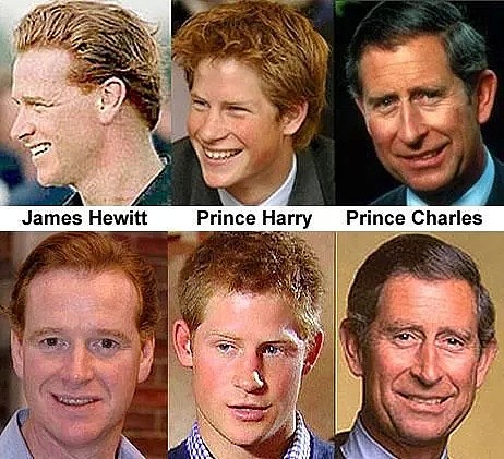 为什么整个英国皇室里，只有哈里王子是红头发的？莫非…（组图） - 3