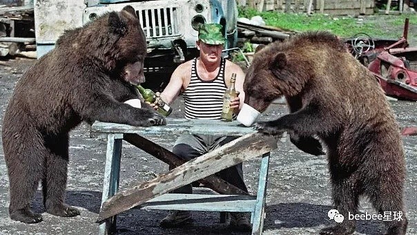 俄罗斯人揍起熊来，比打贼还狠……（视频/组图） - 11