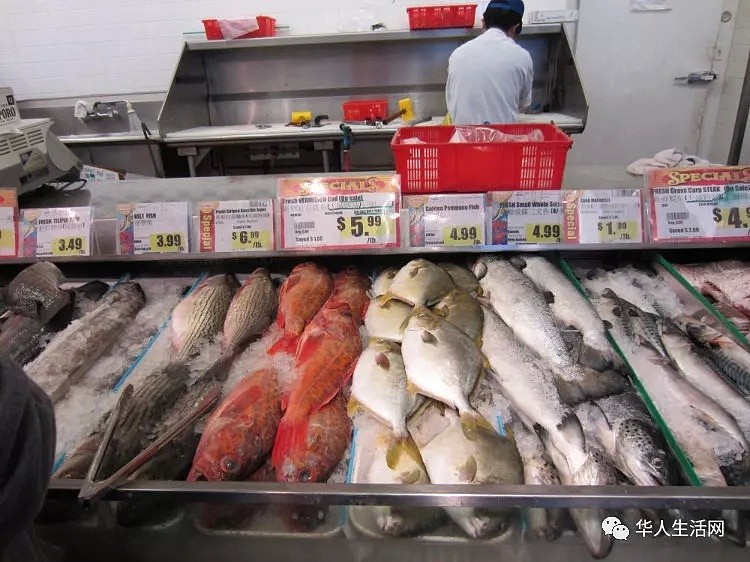 华人最爱吃的海鲜，竟1/3是假的，看完才明白套路（组图） - 1