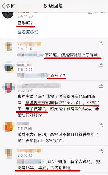 中国媳妇蔡琳疑与高梓淇感情生变 知情人曝两人在去年年底已离婚（组图） - 3