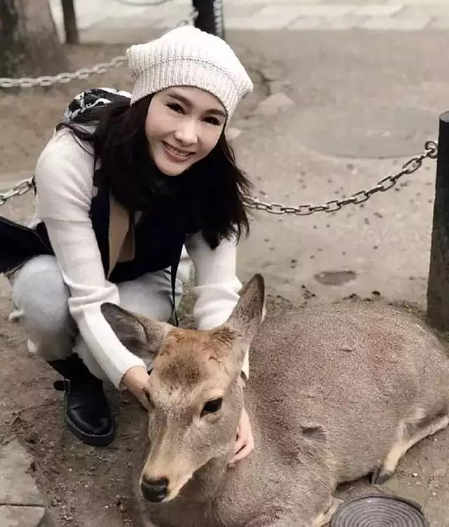 天！张柏芝脸怎么僵成这样？这蜡像脸看着真的比黎姿、蔡明还严重