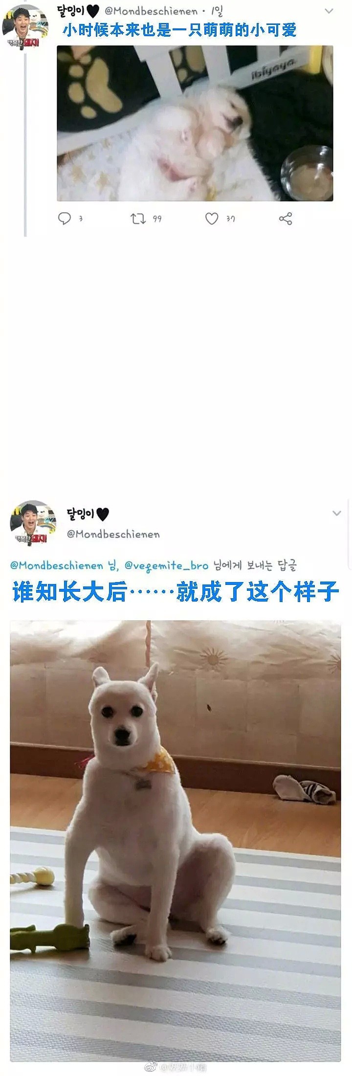 感受下来自沙雕网友的崩溃！！哈哈哈哈哈哈哈哈哈哈哈哈（组图） - 24