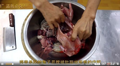 娃娃鱼之后，王刚又因为杀兔兔被批评了（视频/组图） - 3