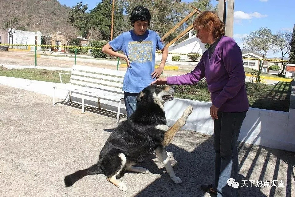 主人去世 忠犬随之一夜消失 11年后真相大白（组图） - 13