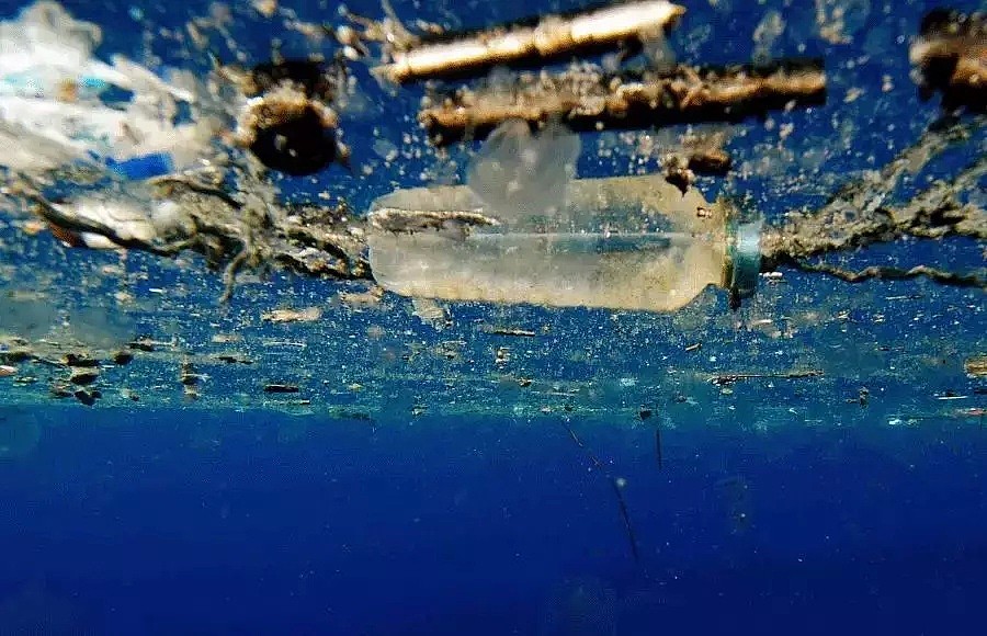 毒奶水 毒海鲜...每年2.8亿吨塑料垃圾等你吃（视频/组图） - 17
