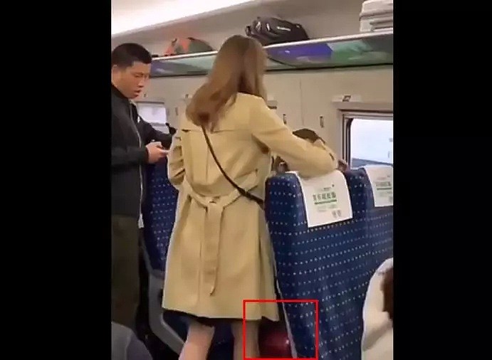 东北女乘客高铁上狂飙脏话：骂你一天都不带重样的（视频/组图） - 8