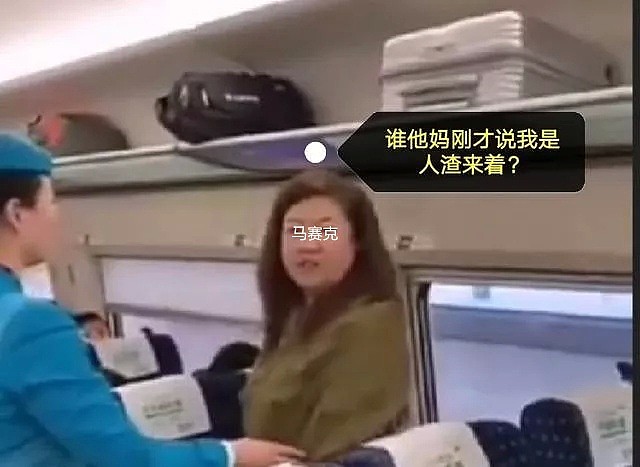 东北女乘客高铁上狂飙脏话：骂你一天都不带重样的（视频/组图） - 15