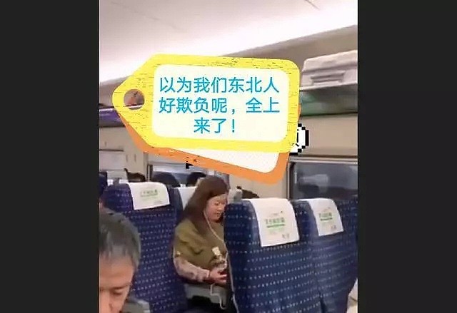 东北女乘客高铁上狂飙脏话：骂你一天都不带重样的（视频/组图） - 16