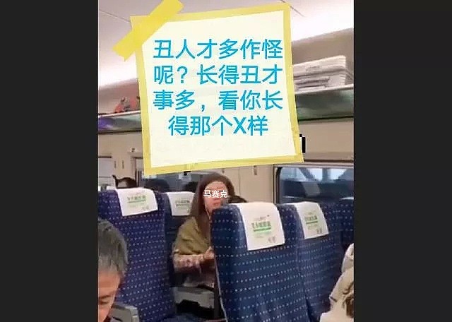 东北女乘客高铁上狂飙脏话：骂你一天都不带重样的（视频/组图） - 17