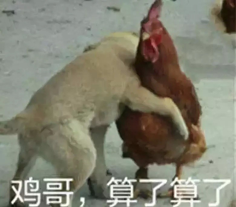 陈冠希约架被放鸽子 带老婆直播赴约超霸气（视频/图） - 25