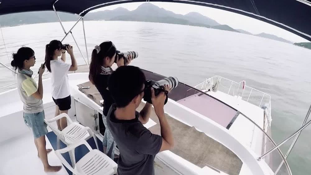 香港女孩拍生态纪录片：白海豚背着死去的宝宝，在海上漂了7天（视频/组图） - 30