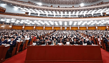 海外侨胞列席政协大会：乐见中国走近世界舞台中央（图）