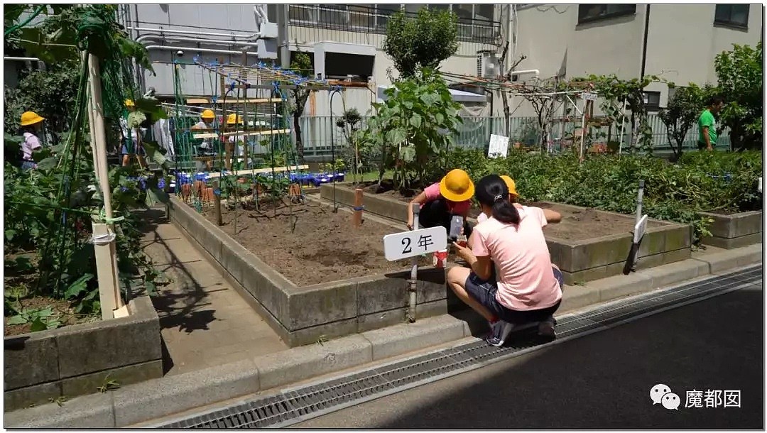 震撼！日本学生午餐全流程 简直让中国汗颜（视频/组图） - 59