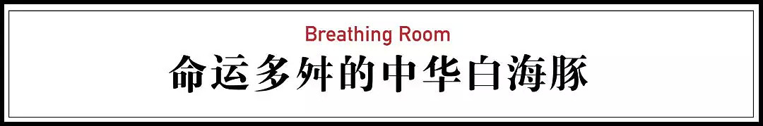 一个绝望的妈妈，背着死去的宝宝，在海上漂了7天（视频/组图） - 2