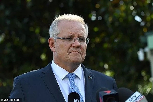 “清真寺屠杀要怪移民多”！澳议员惹25万网友怒！被砸鸡蛋、呼吁下台（组图） - 10