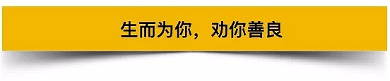 “公司很大，死个人我们赔得起”（视频/组图） - 26