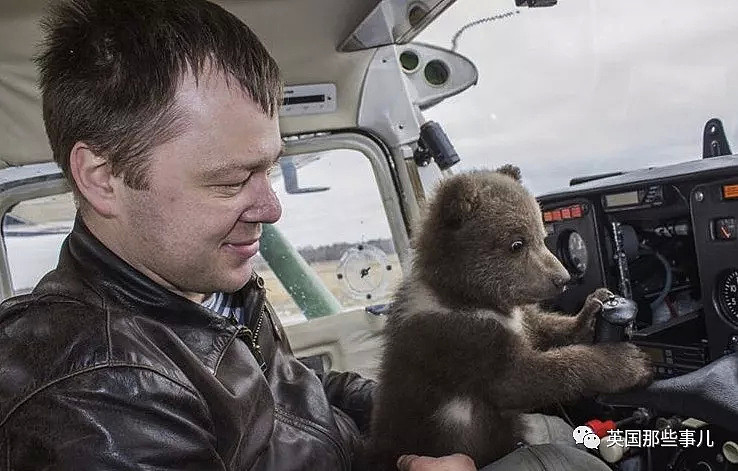 从小养大的熊宝宝被坏人骗走，这群俄罗斯飞行员忍不住了！（组图） - 7