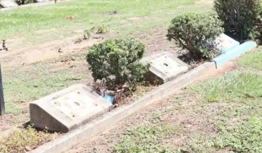 52块墓碑纪念铜板被偷，总值达2.6万澳元， 警方呼吁提供线索 - 1
