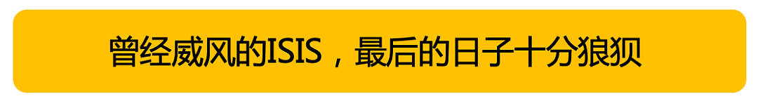 ISIS被彻底消灭了！但世界变得更不安全了（组图） - 14