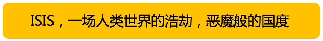 ISIS被彻底消灭了！但世界变得更不安全了（组图） - 30