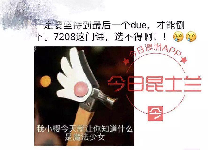 UQ中国学生邮箱惊现代写广告，按姓氏排序批量投放，究竟是谁泄露了信息？（组图） - 13