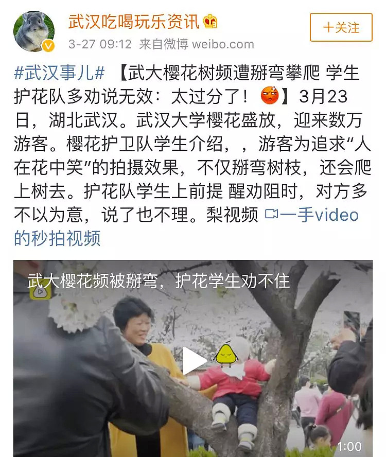 “中国式赏花”遭日媒讽刺，网友：太丢人了！（组图） - 9