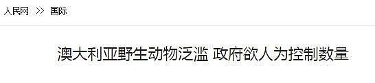 华人大妈惨遭暴打！澳洲政府连夜发出警告，千万别惹这些大佬...（组图） - 54