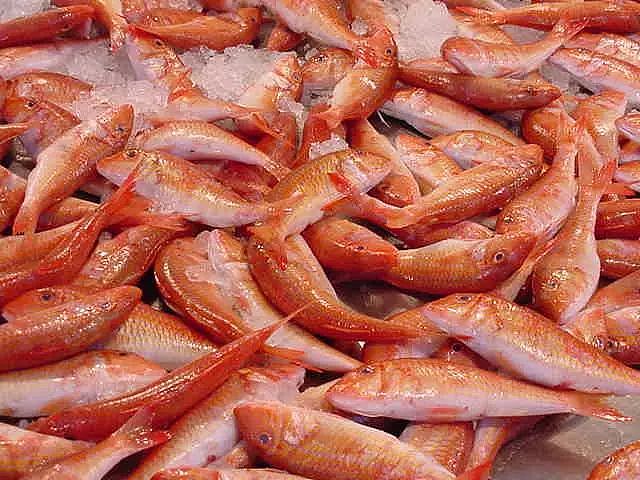 澳洲鱼市海鲜那么多，可很多华人都不会吃！只知道大虾，实在太可惜（组图） - 59