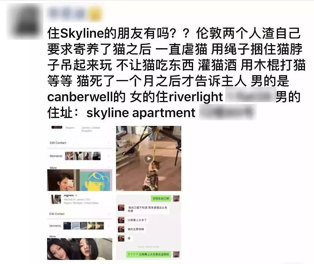 活该！22岁中国留学生因残忍虐猫，殴打女友被控重罪 将被遣返（组图） - 4