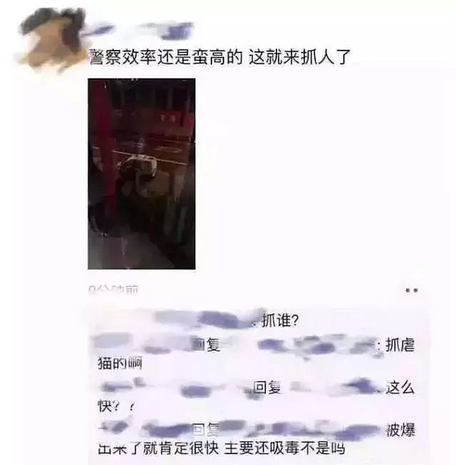 活该！22岁中国留学生因残忍虐猫，殴打女友被控重罪 将被遣返（组图） - 12