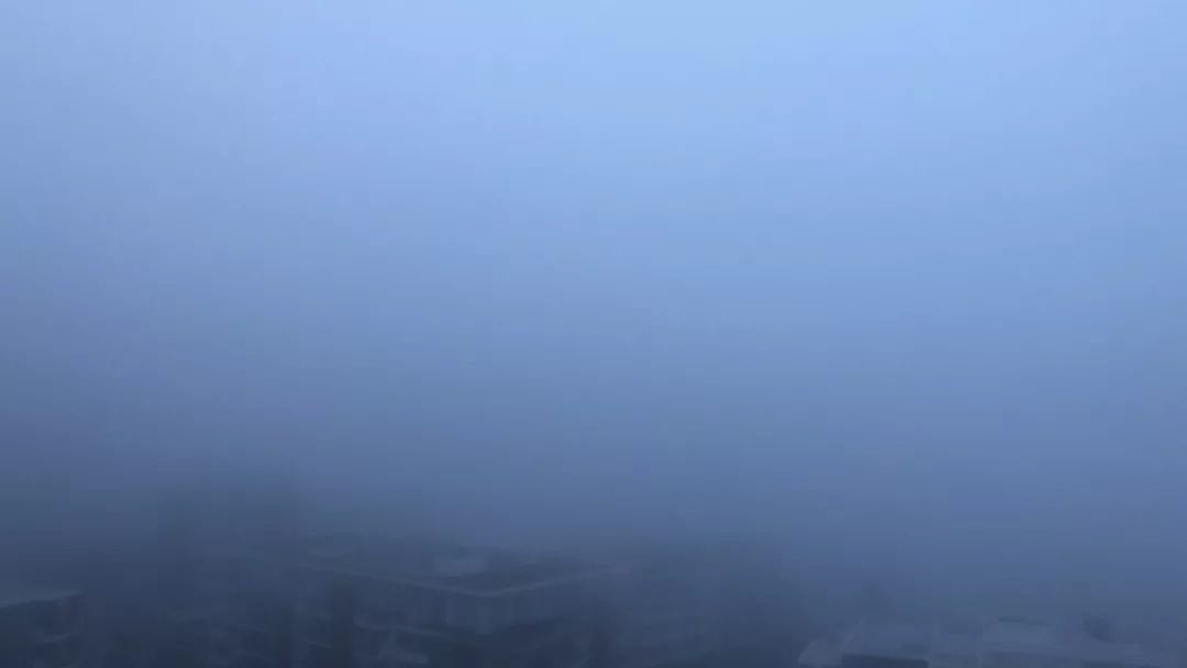 悉尼今晨大雾迷城，全城几近瘫痪！公路阻塞、火车晚点，飞机竟降错跑道（组图） - 1