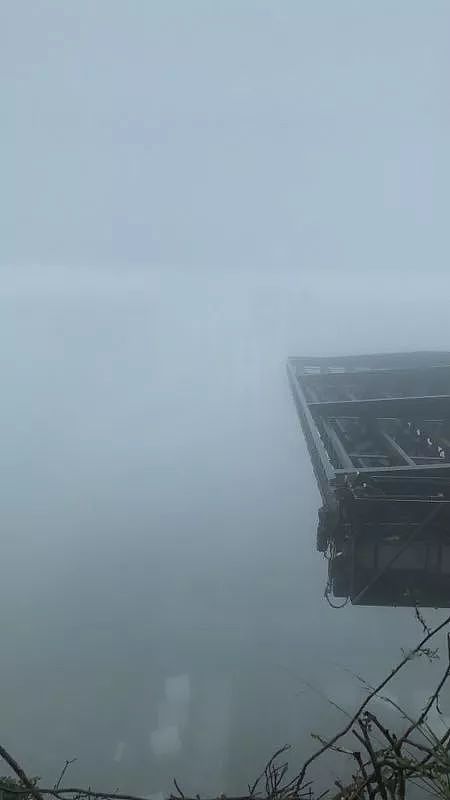 悉尼今晨大雾迷城，全城几近瘫痪！公路阻塞、火车晚点，飞机竟降错跑道（组图） - 14