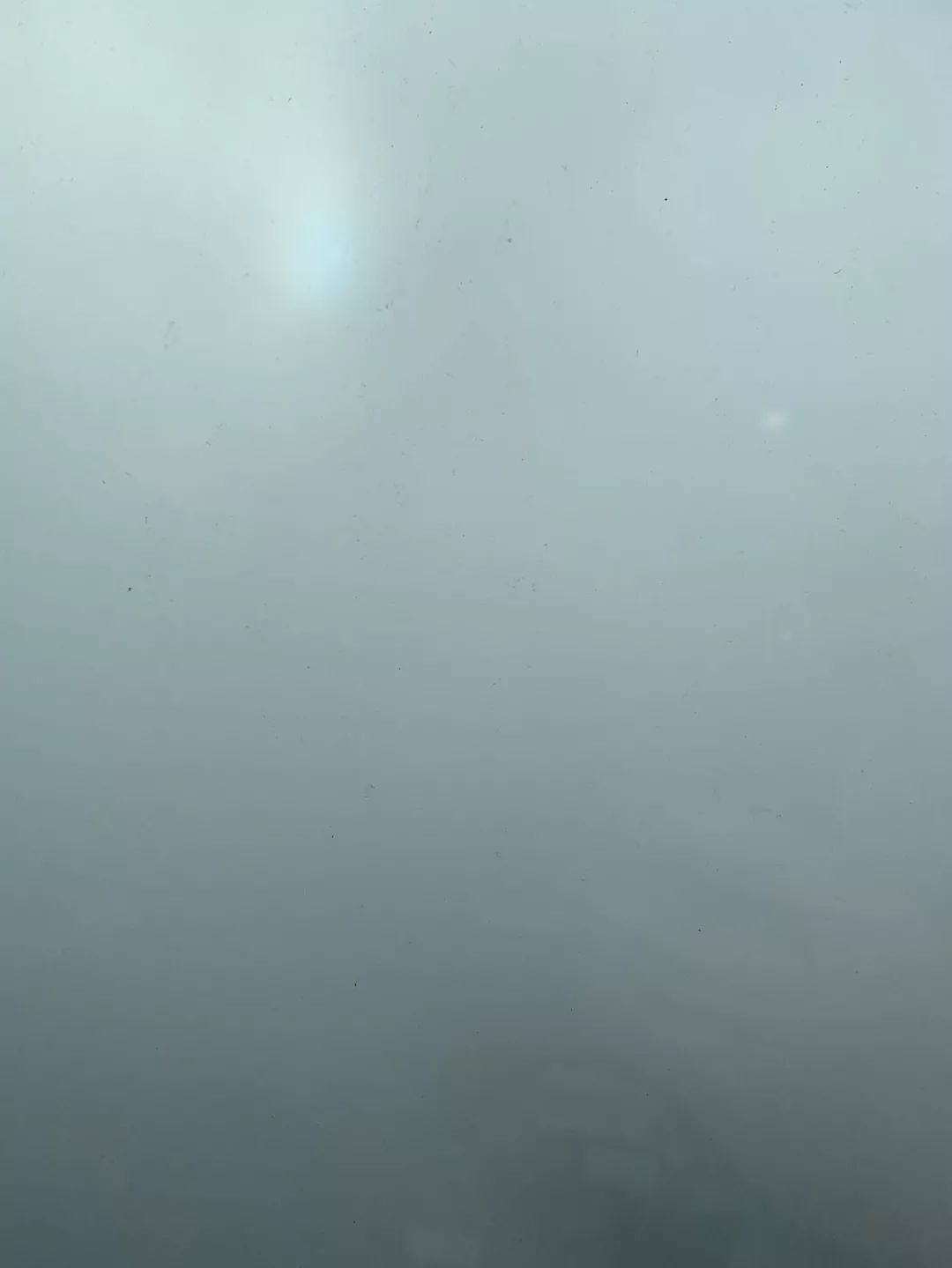 悉尼今晨大雾迷城，全城几近瘫痪！公路阻塞、火车晚点，飞机竟降错跑道（组图） - 19