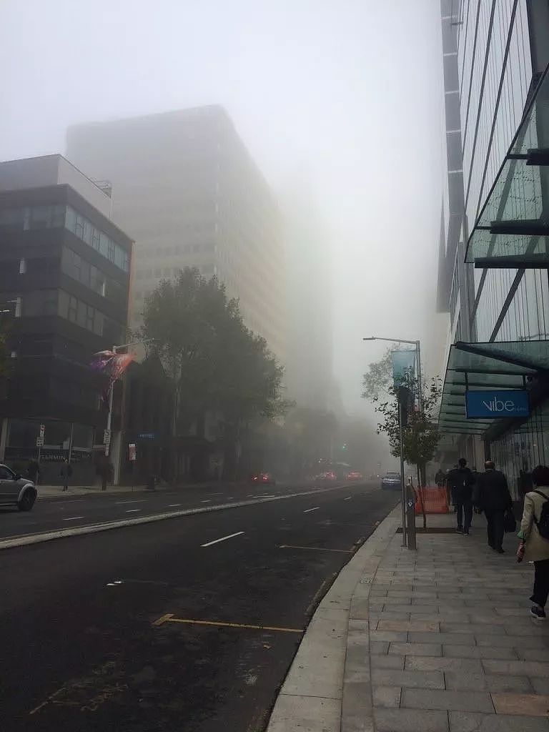 悉尼今晨大雾迷城，全城几近瘫痪！公路阻塞、火车晚点，飞机竟降错跑道（组图） - 22