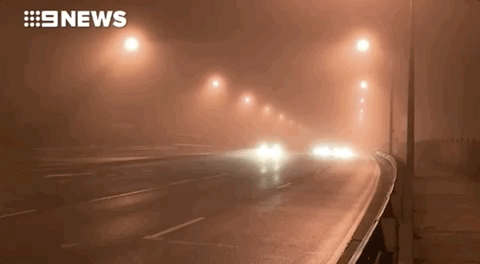 悉尼今晨大雾迷城，全城几近瘫痪！公路阻塞、火车晚点，飞机竟降错跑道（组图） - 26
