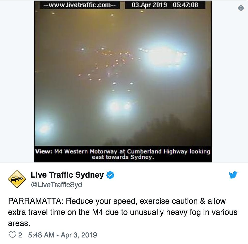 悉尼今晨大雾迷城，全城几近瘫痪！公路阻塞、火车晚点，飞机竟降错跑道（组图） - 27