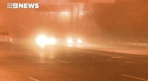 悉尼今晨大雾迷城，全城几近瘫痪！公路阻塞、火车晚点，飞机竟降错跑道（组图） - 29