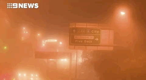 悉尼今晨大雾迷城，全城几近瘫痪！公路阻塞、火车晚点，飞机竟降错跑道（组图） - 30