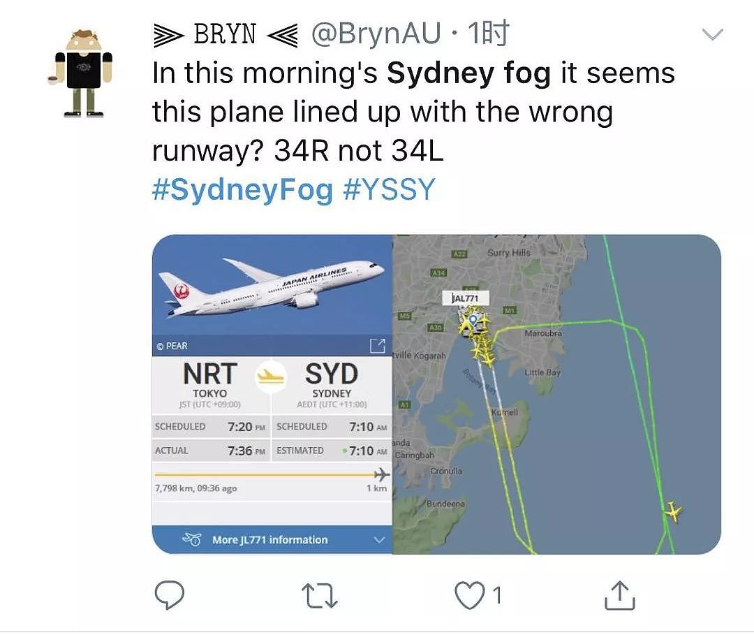 悉尼今晨大雾迷城，全城几近瘫痪！公路阻塞、火车晚点，飞机竟降错跑道（组图） - 35