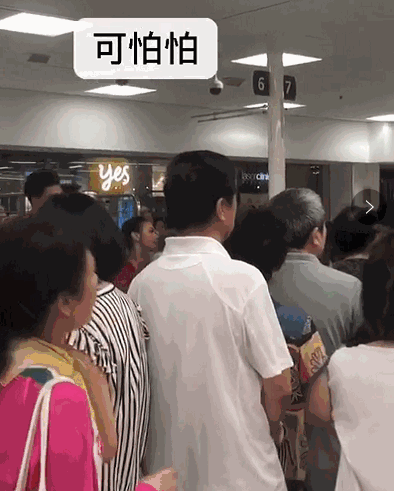 澳媒头条曝光视频！澳洲超市里的这群中国人，你们怎样才肯收手？（视频/组图） - 26