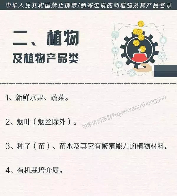 华侨华人注意！清明返乡祭祖海关有重要提醒！还有一些事项你必须知道… - 7